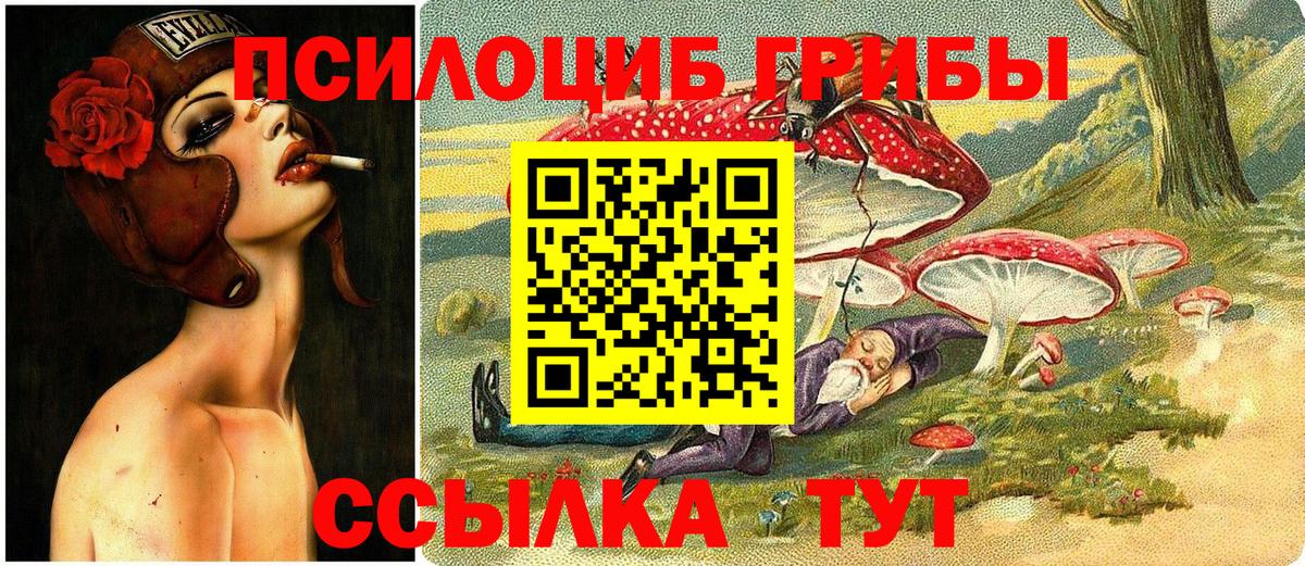 Псилоцибиновые грибы MAGIC MUSHROOMS  Вход с VPN  Якутск  Псилоцибиновые грибы ЛСД 